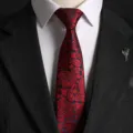 Men's Red Paisley Necktie Classic Vintage Silk Business Suit Tie Wedding Variant Style - Hand-Tied / Burgundy Paisley