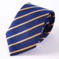 Gros plan détaillé mettant en valeur le motif rayé bleu et or sur un tissu fin et élégant. - Style 004