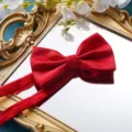 Nahaufnahme Detail einer klassischen roten Herren Fliege mit elegantem strukturiertem Stoff. - Hellrote Gitter Fliege