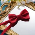 Detailaufnahme einer bordeauxroten strukturierten Herrenfliege für Hochzeiten. - Dunkelrote Gitter Fliege
