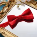 Rote Herren Fliege Detailaufnahme, klassischer gestreifter Stoff für Hochzeitsanzug Bräutigam. - Hellrote Feingestreifte Fliege