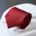 Detailed close-up view of elegant red and black striped tie fabric texture and pattern. - Zipper Style / Wine Red Stripe