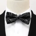 Vue detaillee d'un beau noeud papillon noir et argente motif cachemire, accessoire chic. - Nœud Papillon Paisley Noir et Gris