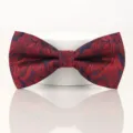 Exquisite red and dark blue paisley bow tie detail view, elegant wedding groom accessory. - Wine Red Paisley Bow Tie