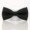 Black bow tie detail showcasing fine textured fabric and clean bow shape design. - Black Horizontal Stripe Bowtie