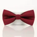 Burgundy men's bow tie fabric detail showing fine ribbed texture and neat knot craftsmanship. - Wine Red Horizontal Stripe Bowtie