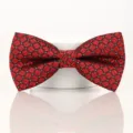 Detailed view of a stylish red and black geometric pattern men bow tie for wedding and party. - Red Plaid Bow