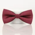 Detail view of a burgundy striped bow tie for men, wedding and formal wear accessory. - Elegant Wine Red Stripe Bowtie