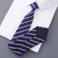 Cravate rayée bleu et jaune pour hommes, cravate formelle d'affaires, tenue professionnelle. - Style 004