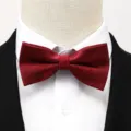 Noeud papillon bordeaux pour homme, accessoire de costume classique pour mariage. - Nœud Papillon Bordeaux à Motif Sombre