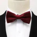 Noeud papillon bordeaux pour hommes mariage marié vêtements formels accessoire cravate - Nœud Papillon Bordeaux à Rayures Fines