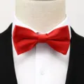 Elegante noeud papillon bordeaux homme mariage tenue formelle classique accessoire - Rouge Vif Rayure Fine Noeud Papillon