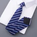 Classic blue striped necktie for men, professional business formal wear tie accessory. - Style 011