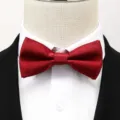 Noeud papillon bordeaux pour homme mariage marié costume tenue élégante accessoire de mode - Rouge Vin Mat Nœud Papillon
