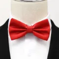 Nœud papillon bordeaux homme mariage formel marié costume accessoire style coréen - Rouge Vif Grille Nœud Papillon