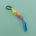 Colorful paracord bag charm featuring a black carabiner, vibrant keychain for stylish purses. - Black