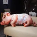 Cute pig plush body pillow with lace dress, soft stuffed animal doll for home sofa decoration. - Miss Piggy Style / 20cm