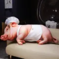 Cute cartoon pig long plush pillow toy, creative chef hat design, soft stuffed doll for home. - Chef Style / 20cm