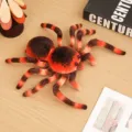 Cute simulated tarantula spider plush toy stuffed animal red black creepy doll kids gift! - 20cm / Orange Spider