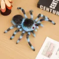Cartoon simulation spider plush toy black plush doll children companion soothing pillow cute soft toy - 20cm / Blue Spider