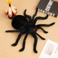 Black plush spider toy, realistic cute soft stuffed animal doll for kids gift and room decor. - Black Spider