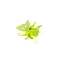 Neon green butterfly hair claw clip, translucent plastic small hair accessory for styling. - Yellow-Green