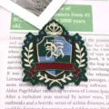 Gedetailleerd shot van groen-blauwe geborduurde badge met kroon en schild voor JK-stijl. - Groen Blauw Kleurblok Stijl (4)