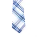 Cravate scolaire a carreaux bleus et blancs, accessoire d'uniforme JK, style preppy classique - Style 20#