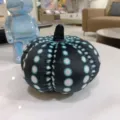 Peluche citrouille noire à pois blancs, coussin moelleux décoratif d'Halloween et jolie déco. - Bleu à Pois