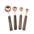 Cucchiai misuratori in oro rosa con manici in legno set da 4 per cucina e cottura al forno. - Cucchiai Dosatori