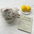 Plush earmuffs winter warm fluffy ear covers soft cozy cute student ear muffs detail view - Beige Gray Floral