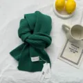 Détail d'écharpe en tricot vert foncé montrant une texture côtelée, accessoire d'hiver chaud. - 160x20cm / Vert