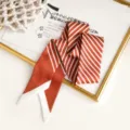 Close-up of stylish red and white striped skinny silk scarf, perfect for bag or neck decoration. - 90cm*5cm / Small Ribbon 05-05