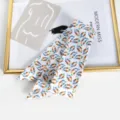 Petit foulard en coton et lin imprimé mode cravate de cou femme sac ruban twilly - Feuille Plume Colorée (Style 17)