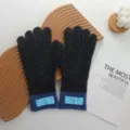 Cozy winter color-block knit gloves for women, stylish warm fleece-lined cold weather gloves. - 26*12cm / Black