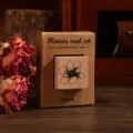 Set de tampon en bois rétro avec emballage boîte en kraft, idéal pour le scrapbooking. - Magnolia