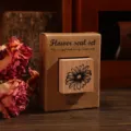 Vintage wooden rubber stamp set with botanical floral design and kraft paper packaging box - Daisy