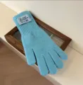 Light blue knit gloves for women, winter warm five-finger long knitted gloves for daily wear. - Lake Blue