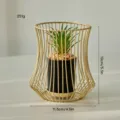 Gold iron plant pot minimalist desktop succulent decor modern geometric floral holder 13cm - Wide Mouth Bottle