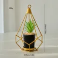 Geometric iron potted plant Nordic luxury succulent desktop decoration ornament home decor - Acute Cone