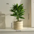 Artificial potted plant Nordic style green plant desk decoration fake flower bonsai - Round Pot Money Tree Set with Pot