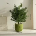 Nordic artificial potted plant for indoor home and office desktop decor. Realistic green bonsai. - Green Lava Pot Green Plant Set