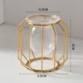 Modern gold metal geometric frame clear glass hydroponic vase plant container for home decor. - Vertical Bar / Gold