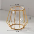 Modern geometric metal wire glass hydroponic vase gold tabletop plant container display decor - Rhombus Earrings / Gold