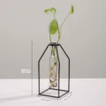 Nordic minimalist geometric iron art transparent glass hydroponic vase plant holder table decor SKU - Large Square Bottom Style / Black