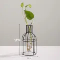 Nordisch minimalistisch geometrisch Glas Hydrokultur Vase mit Eisen Ständer 23.5cm - Große Weinflasche Stil / Schwarz
