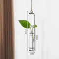 Nordische minimalistische hängende Glas Hydrokultur Vase mit Metallrahmen für Deko - M / Schwarz