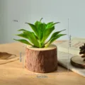 Wooden Bark Flower Pot Succulent Plant Creative Log Candle Holder for Home Decoration - Log Agave