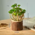 Artificial succulent plant in wooden log pot home decor artificial plant bonsai small ornament - Log 9-Head Cactus