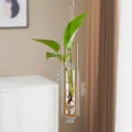 Nordische hängende Glas-Hydrokultur-Vase mit goldenem Metallrahmen für Innendekoration - S / Gold
